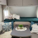 490704106 122095067942845220 9155113046931944689 N Easy Resize.com 150x150